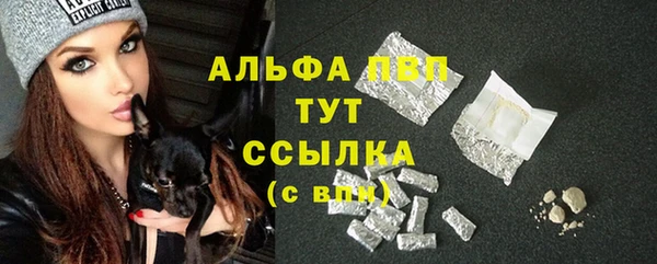 стаф Абинск