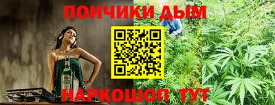 индика Краснознаменск