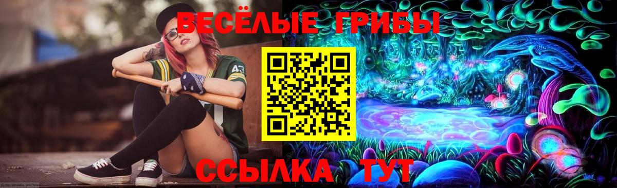 Зерноград  Псилоцибиновые грибы MAGIC MUSHROOMS  Галлюциногенные грибы MAGIC MUSHROOMS  даркнет сайт  Вход с VPN 