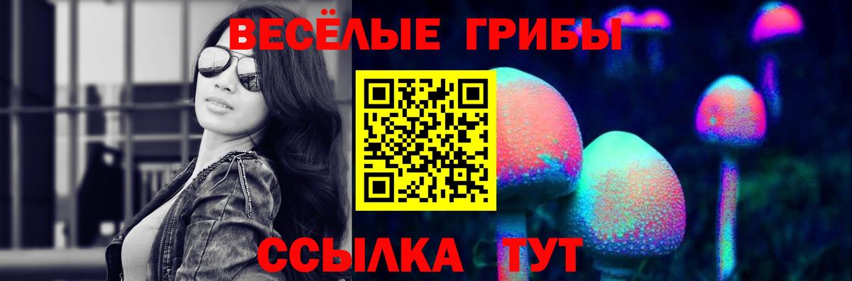 Галлюциногенные грибы ЛСД Зерноград