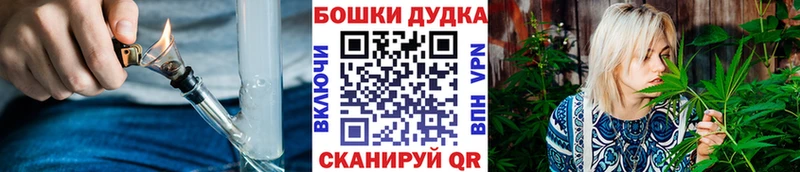 Бошки марихуана сатива  где найти   Зерноград 